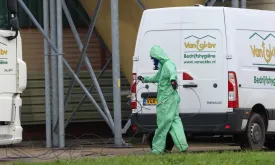 Growing Risk of Risky Mutation of Bird Flu in Europe