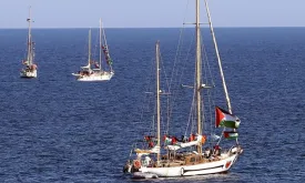 Israeli Court Extends Detention of 2 Activists Amid Allegations of Torture