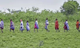 Kenyan Court Rules Against Tech Giants Meta and Netflix in Climate Project Dispute