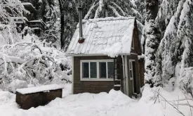 Man's Life Transformation with a Tiny Cabin Purchase