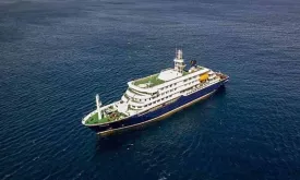 Mysterious Virus Outbreak on Luxury Cruise Raises Alarm