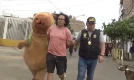 Police Officer in Capybara Costume Conducts Drug Raid