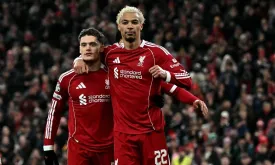 Premier League Summer Transfers: Patience Needed for New Signings to Shine