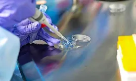 Sperm Donor in Europe Found to Pass Rare Cancer-Causing Mutation to 67 Children