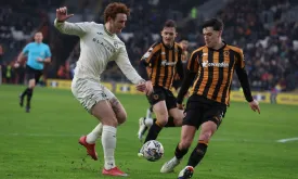Squirrel Assists in USMNT's Josh Sargent's Goal for Norwich City