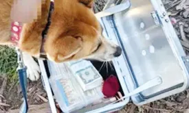 Treasure Chest with $10,000 Worth of Coins Buried in San Francisco Sparks City-Wide Search