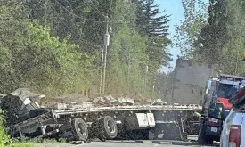 Truck Overturns in Western US, Releasing 250 Million Bees: Area Warned to Avoid