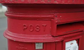 Woman (70) Receives Response to Job Application After Fifty Years: 'I Finally Have Closure'