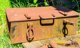 Woman Discovers Treasure Chest of Antique Coins in Park Revealed as Elaborate Marketing Stunt