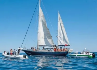 Activist Crisis in Crete as Israeli Forces Interfere with Sumud Fleet