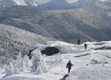 American Hikers under Influence of Magic Mushrooms Call Emergency Services for Nonexistent Fatality