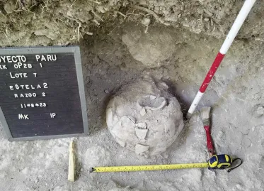 Ancient Mayan City Ruins Unearthed in Guatemala