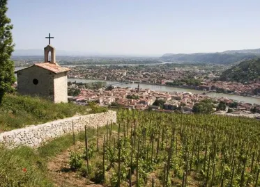 Belgian Woman Missing for 14 Years Found in France: Admits to Past Mistake