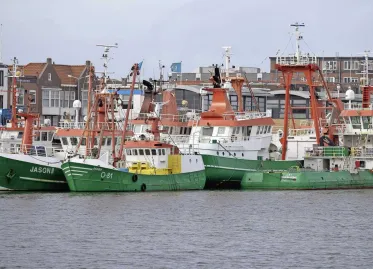 Dutch Fishermen Benefit from New EU-UK Deal Extending Fishing Access