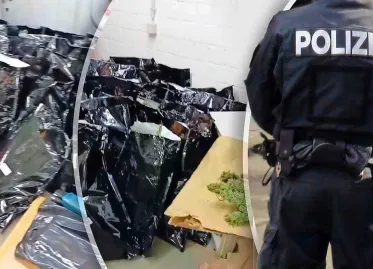 Dutch Man Arrested with Over 300 Kilos of Drugs in Germany