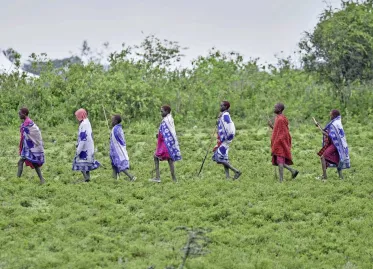 Kenyan Court Rules Against Tech Giants Meta and Netflix in Climate Project Dispute