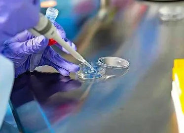 Sperm Donor in Europe Found to Pass Rare Cancer-Causing Mutation to 67 Children