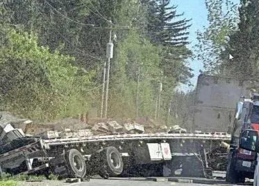 Truck Overturns in Western US, Releasing 250 Million Bees: Area Warned to Avoid