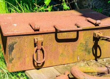 Woman Discovers Treasure Chest of Antique Coins in Park Revealed as Elaborate Marketing Stunt