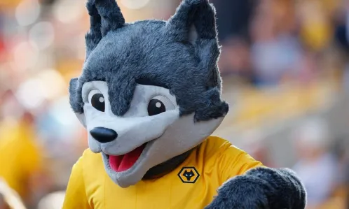 Wolves Mascot Rescues Kid's Chicken Nuggets at Premier League Match