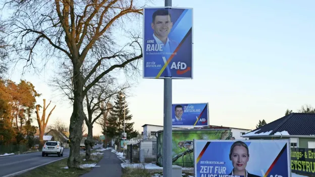 AfD Faces Legal Troubles Over Illegal Donations and Threatening Fine