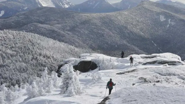 American Hikers under Influence of Magic Mushrooms Call Emergency Services for Nonexistent Fatality