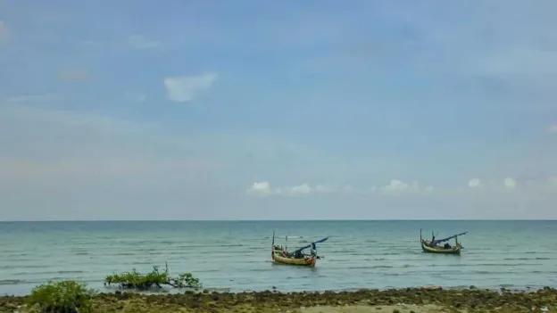 Ancient Skull Remains Found Off Indonesian Coast Shed Light on Human Ancestors