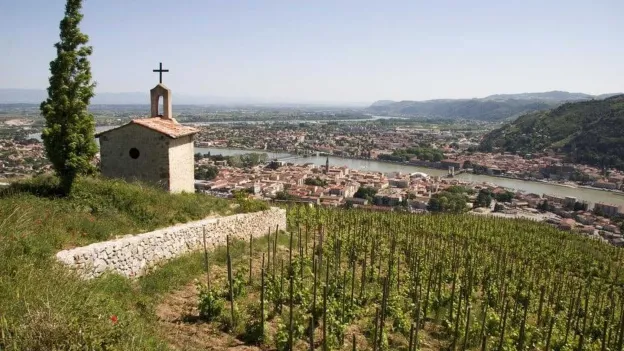 Belgian Woman Missing for 14 Years Found in France: Admits to Past Mistake
