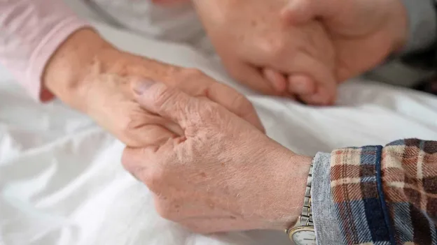 Brother Takes Sister to Court Over Inheritance Dispute