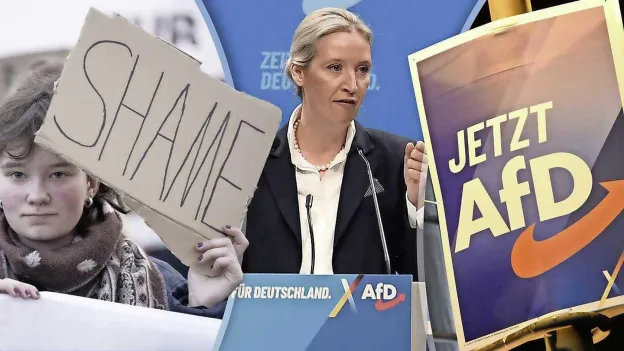 Bundestag Debates Ban on AfD: 'Party No Longer Tolerable'
