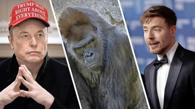 Debate Over Whether 100 Men Can Defeat a Gorilla Sparks Online Controversy