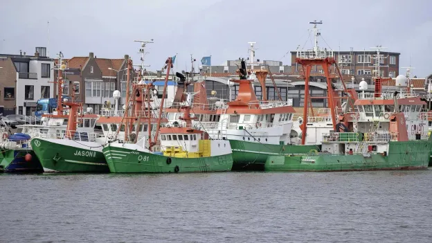 Dutch Fishermen Benefit from New EU-UK Deal Extending Fishing Access