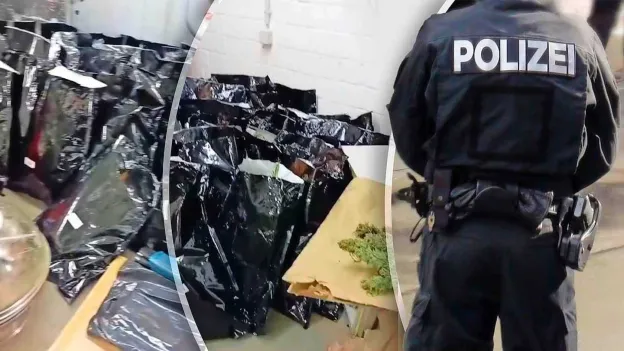 Dutch Man Arrested with Over 300 Kilos of Drugs in Germany