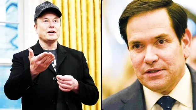 Elon Musk and Marco Rubio Clash in Cabinet Meeting