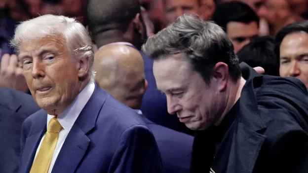 Elon Musk Ends Work for US Government, Thanks Donald Trump