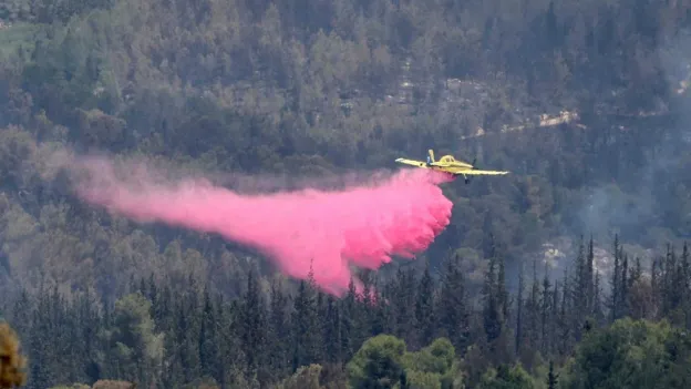 EU to Assist Israel in Combating 'Devastating Fires' Between Jerusalem and Tel Aviv
