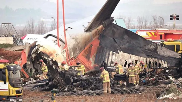 First Report on Crashed Korean Plane: Feathers and Blood Found