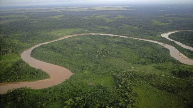 Five Survive 36 Hours in Crocodile-Infested Marsh After Plane Crash in Bolivia