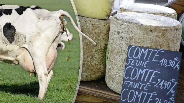 French Environmental Activists Target Comté Cheese with Support from Facebook Pioneer