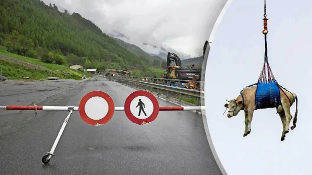 Hotel Staff Trapped for a Week Following Swiss Avalanche