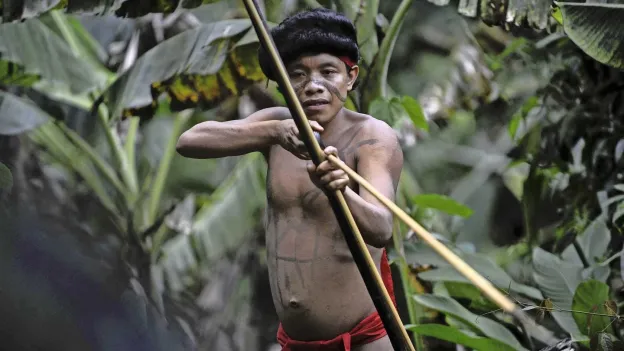 Influencers Risking Lives to Meet Isolated Tribes: The Danger of Exploration
