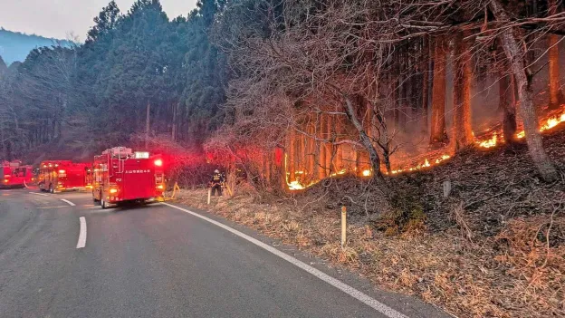 Japan Deploys 2000 Firefighters to Combat Largest Forest Fire in Half a Century