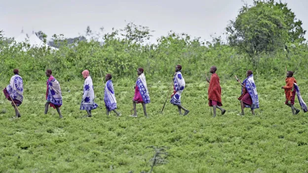 Kenyan Court Rules Against Tech Giants Meta and Netflix in Climate Project Dispute