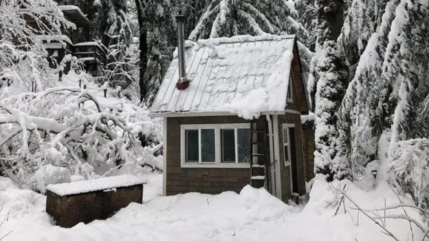 Man's Life Transformation with a Tiny Cabin Purchase