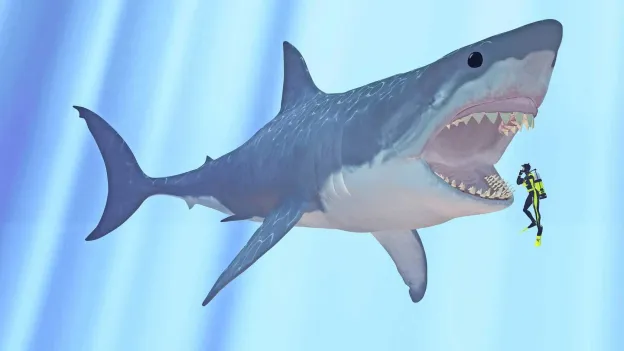 Megalodon: Ancient Giant Shark Facts Revealed