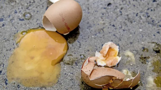 Mother Convicted for Breaking Egg on Daughter's Forehead in TikTok Video
