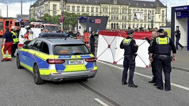 Multiple Injured in Stabbing Incident at Hamburg Train Station