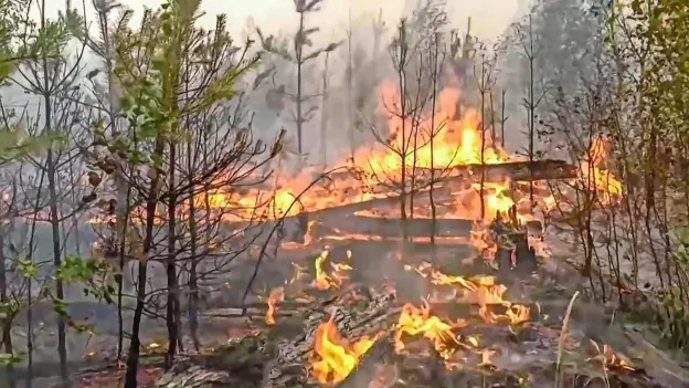 Russian Wildfire Crisis Reaches Alarming Levels