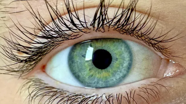 Scientists Discover New Color Olo
