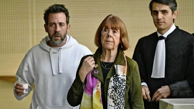 Sons of Main Suspect in Pelicot Rape Case Speak Out Against Father